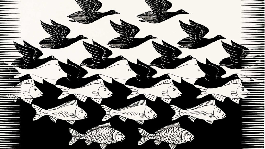 cda25_annonce_exposition_escher_monnaie-tt-width-335-height-188-fill-1-crop-0-bgcolor-ffffff